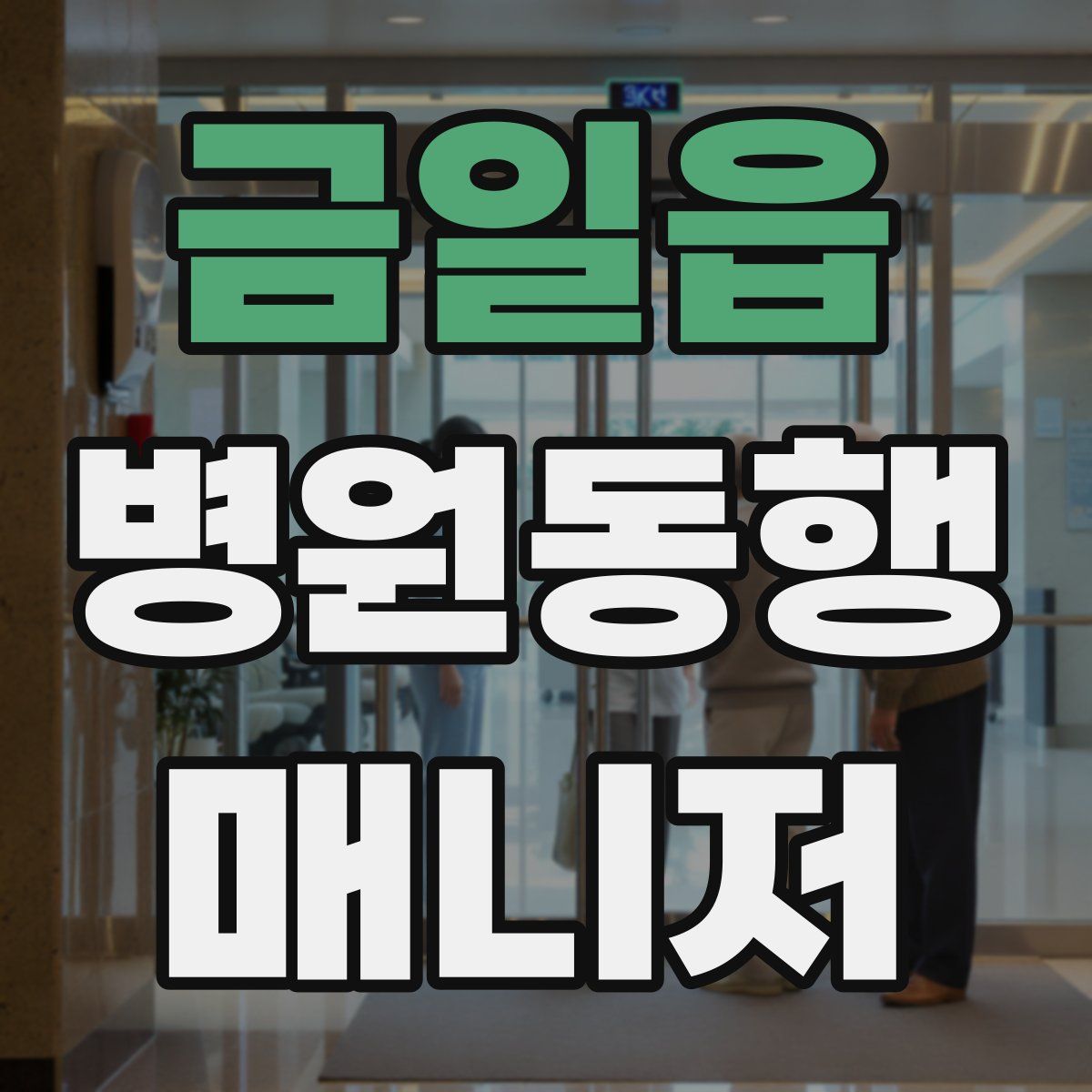 금일읍 병원동행매니저 자격증