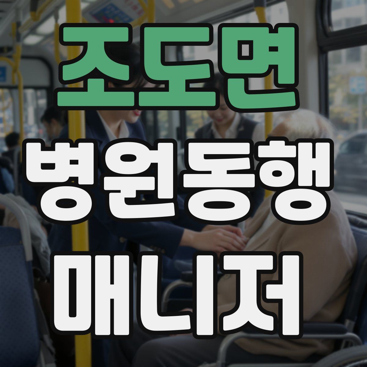 조도면 병원동행매니저 자격증