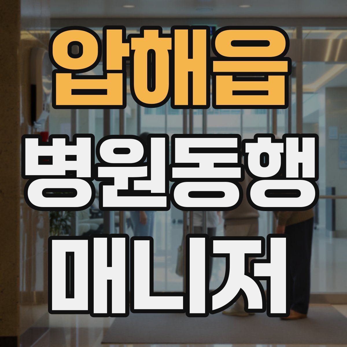 압해읍 병원동행매니저 자격증