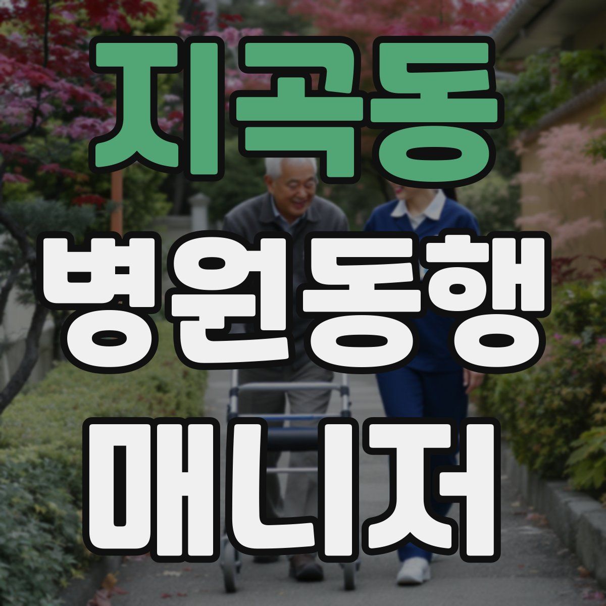 지곡동 병원동행매니저 자격증