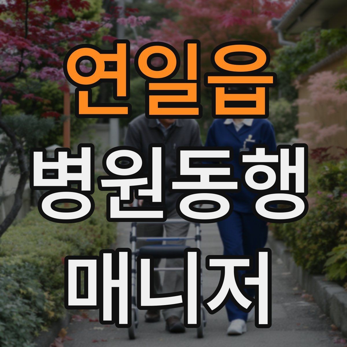 연일읍 병원동행매니저 자격증 시험 합격을 위한 핵심 정리 노트