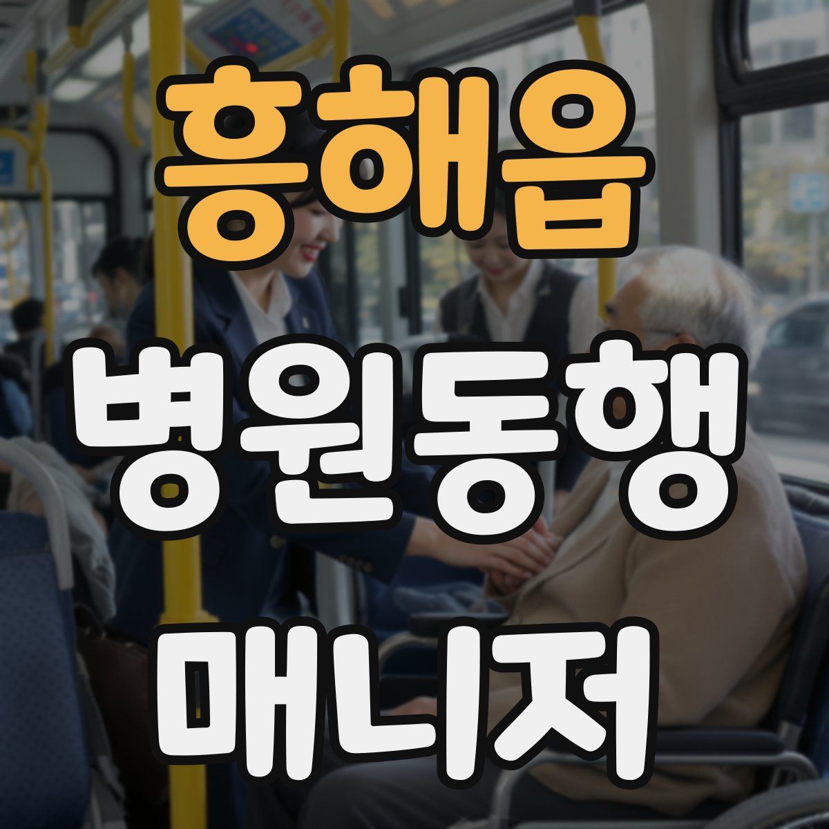 흥해읍 병원동행매니저 자격증