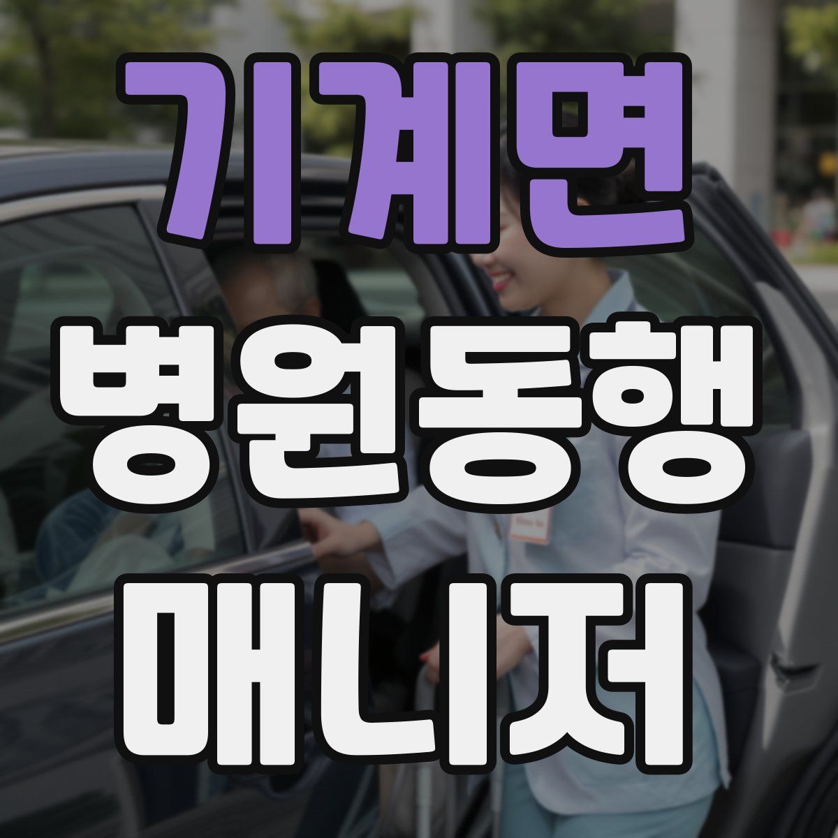 기계면 병원동행매니저 자격증