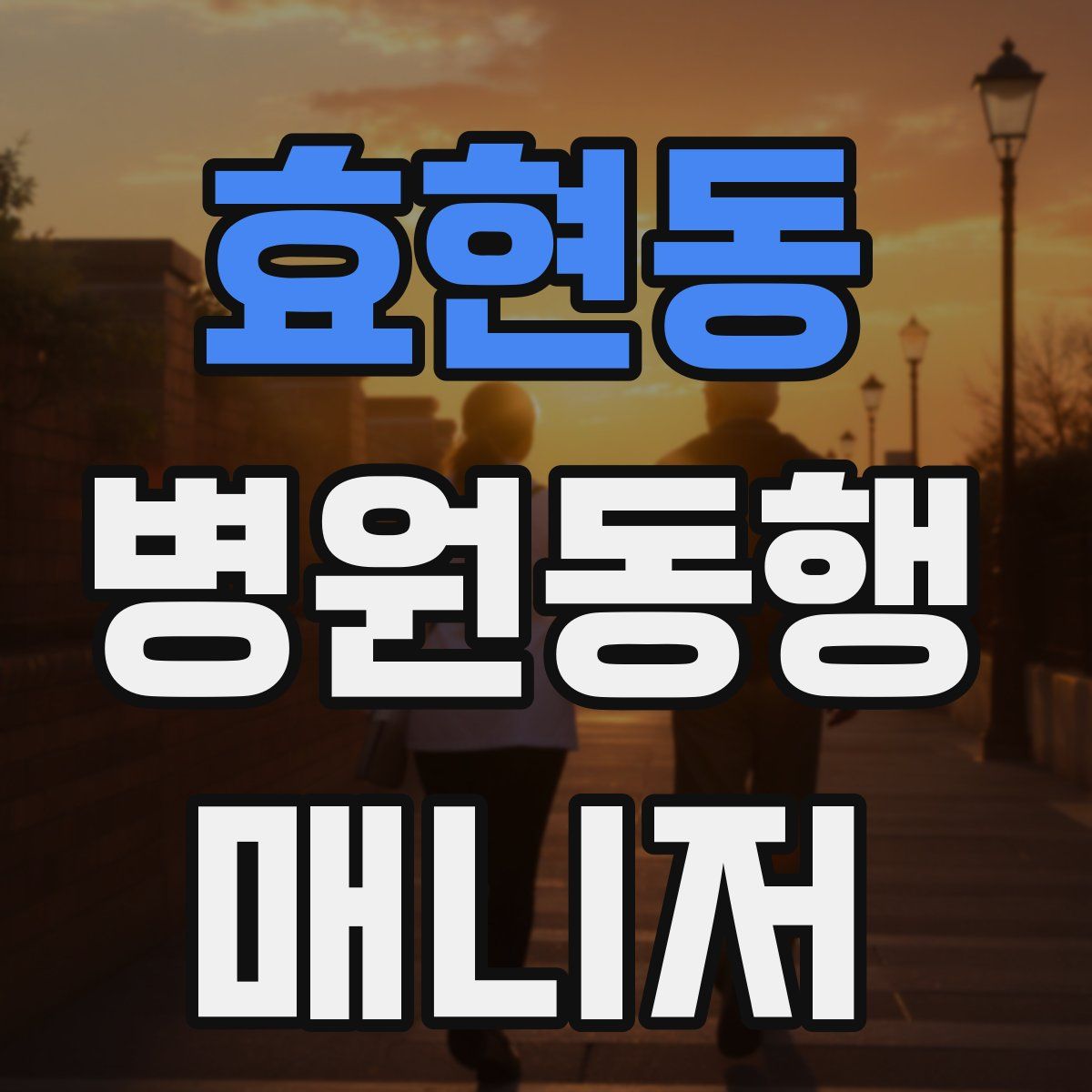 효현동 병원동행매니저 자격증