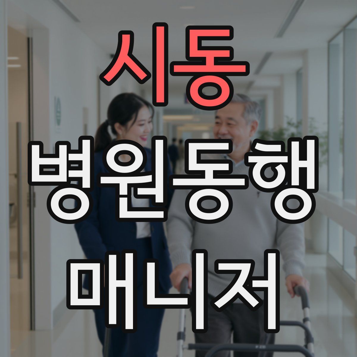 시동 병원동행매니저 자격증