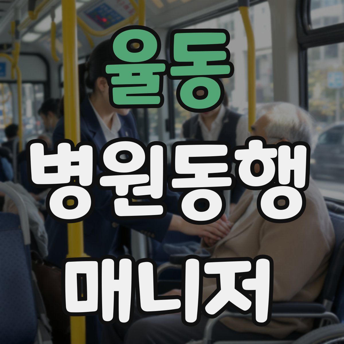 율동 병원동행매니저 자격증