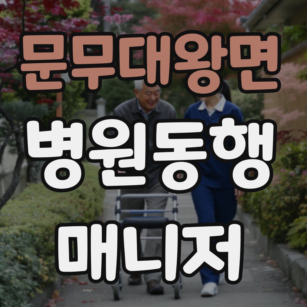 문무대왕면 병원동행매니저 자격증