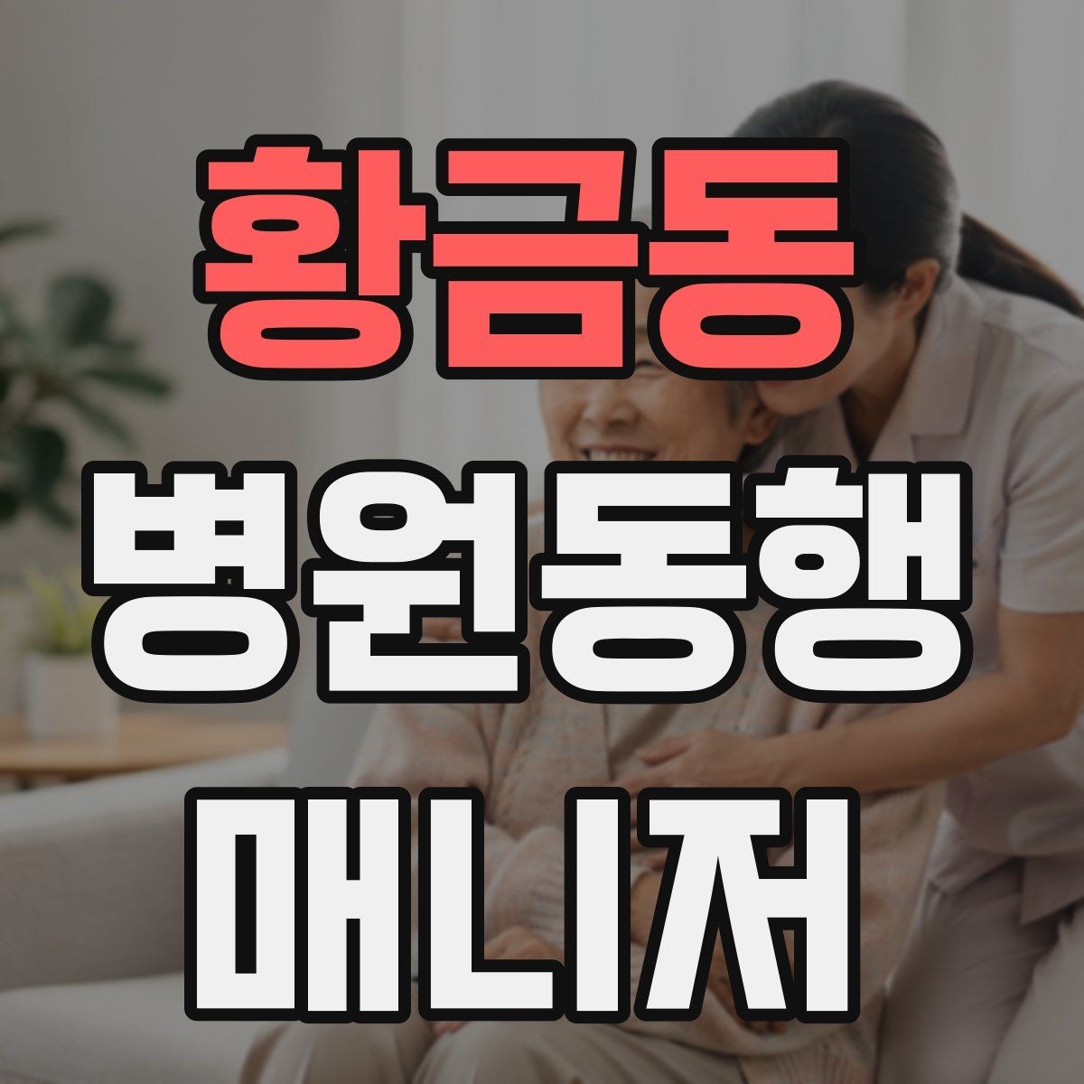 황금동 병원동행매니저 자격증 자격 취득을 고민하는 분께 현실 조언