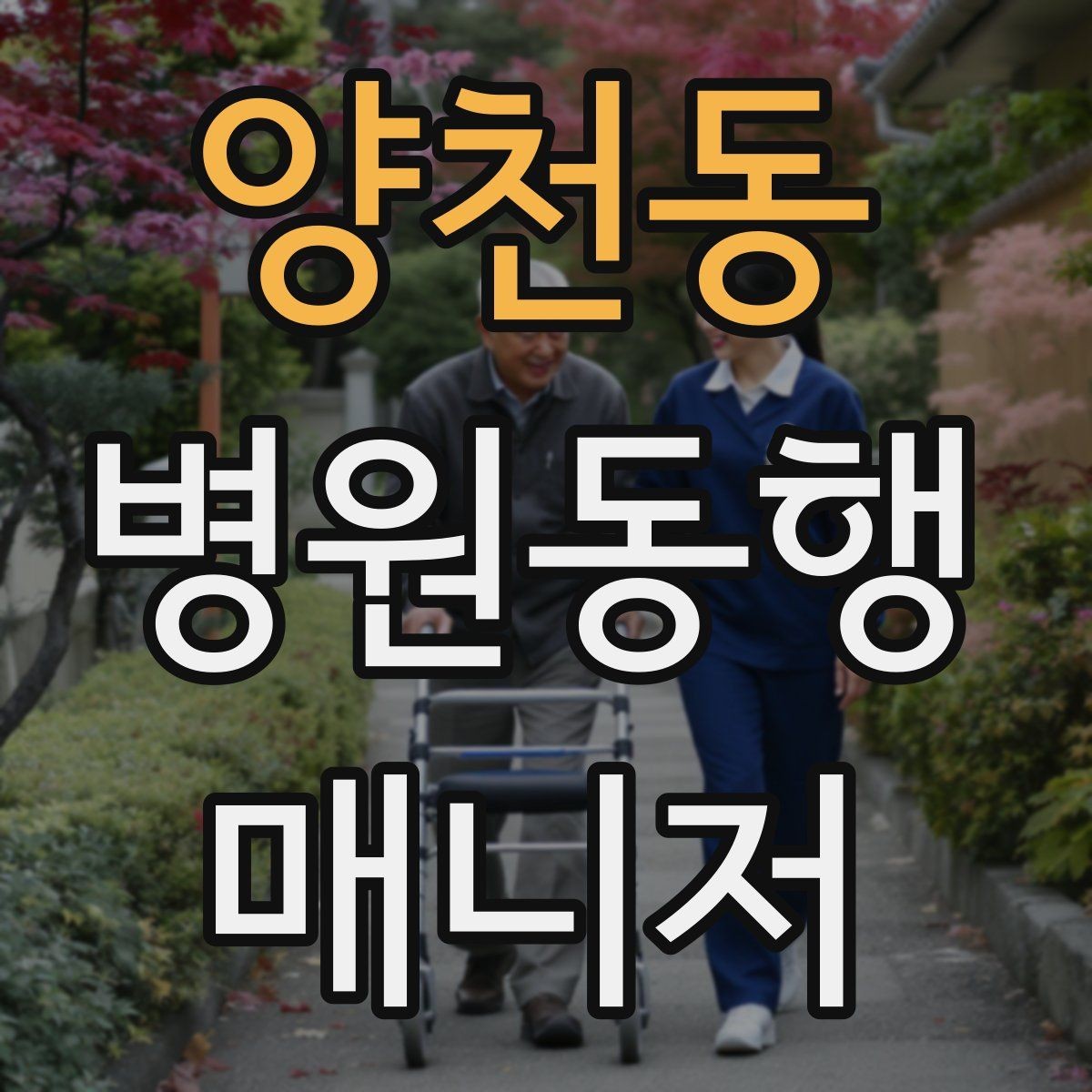 양천동 병원동행매니저 자격증 입원 전 검사 동행 시 주의할 것