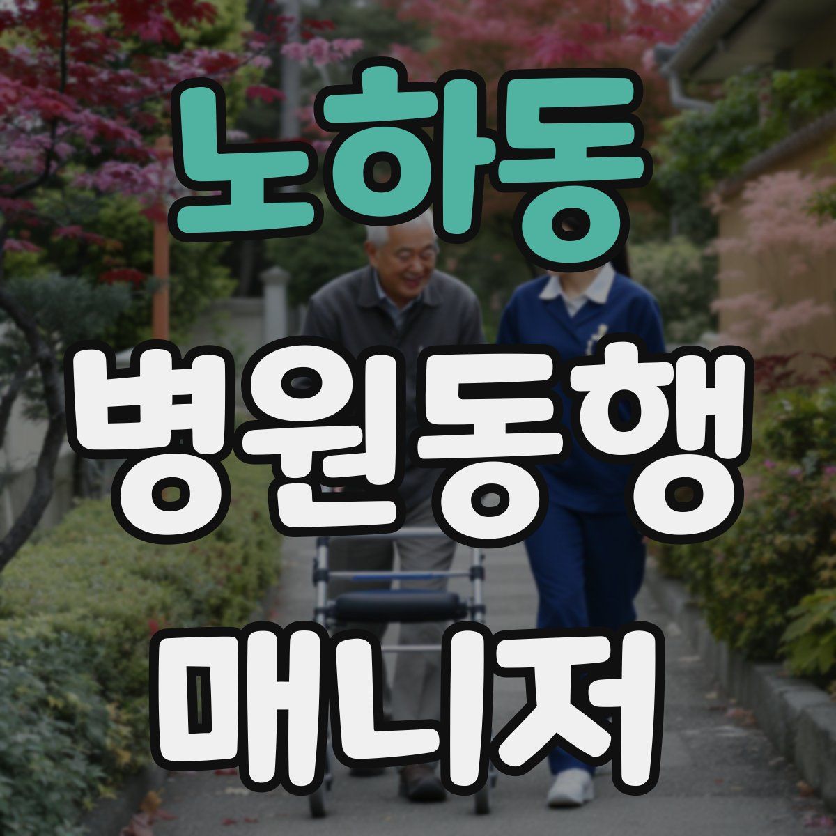 노하동 병원동행매니저 자격증