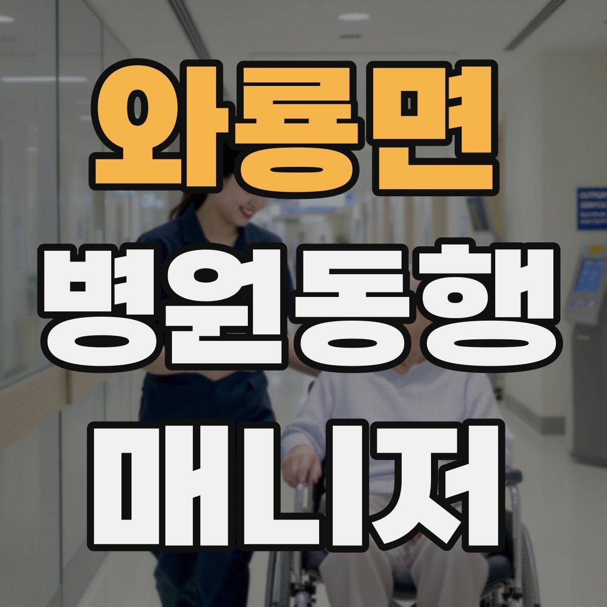 와룡면 병원동행매니저 자격증 병원 동행 서비스가 필요한 순간들 정리
