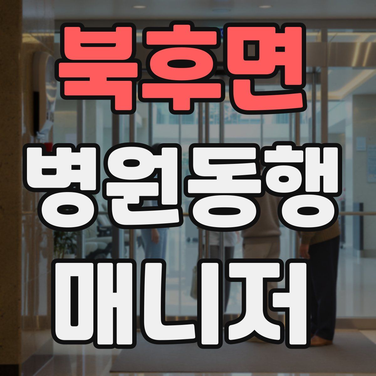 북후면 병원동행매니저 자격증