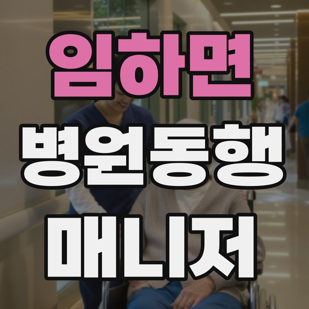 임하면 병원동행매니저 자격증