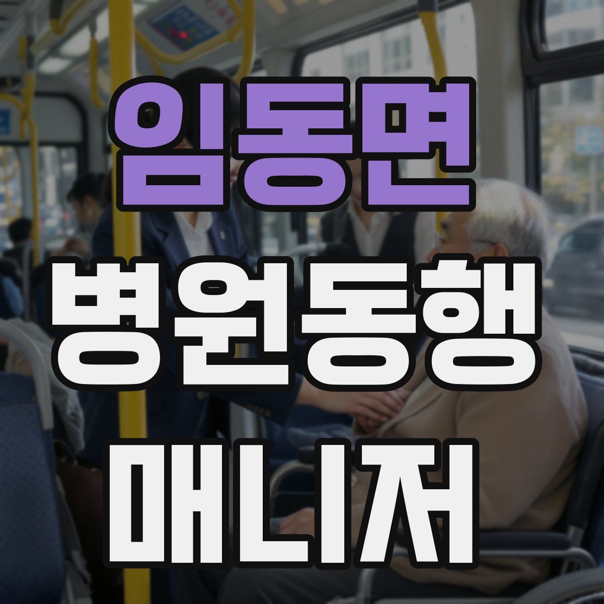 임동면 병원동행매니저 자격증