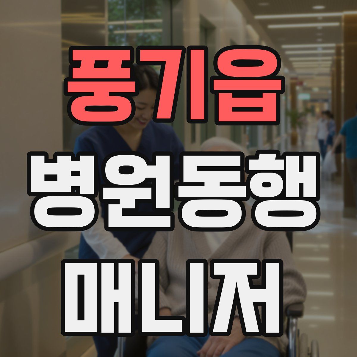 풍기읍 병원동행매니저 자격증