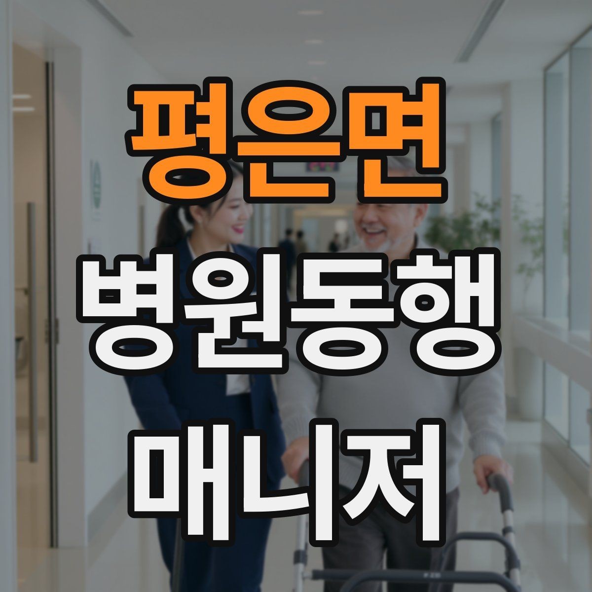 평은면 병원동행매니저 자격증 동행 범위 문구를 깔끔하게 정리하기