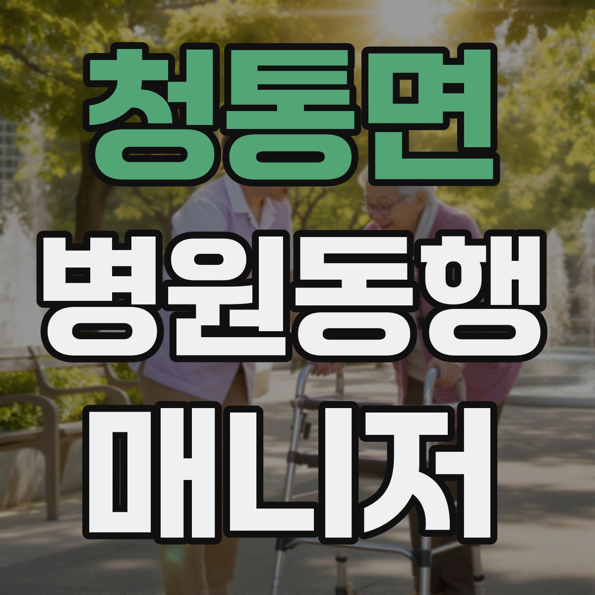 청통면 병원동행매니저 자격증