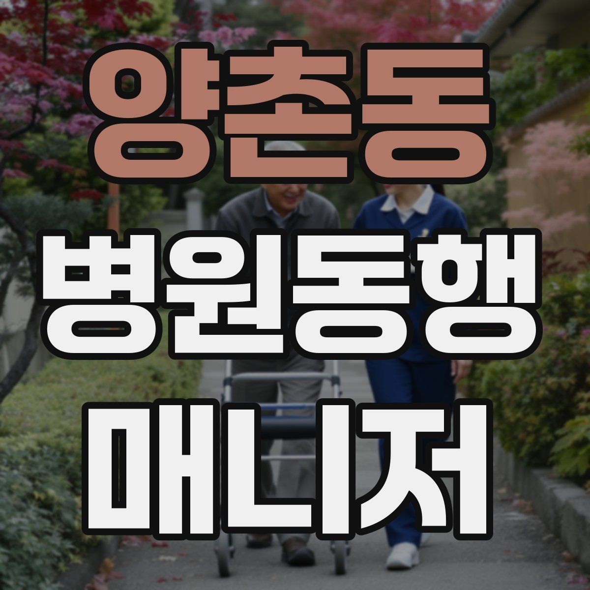 양촌동 병원동행매니저 자격증 보호자에게 전달할 핵심 정보 정리법