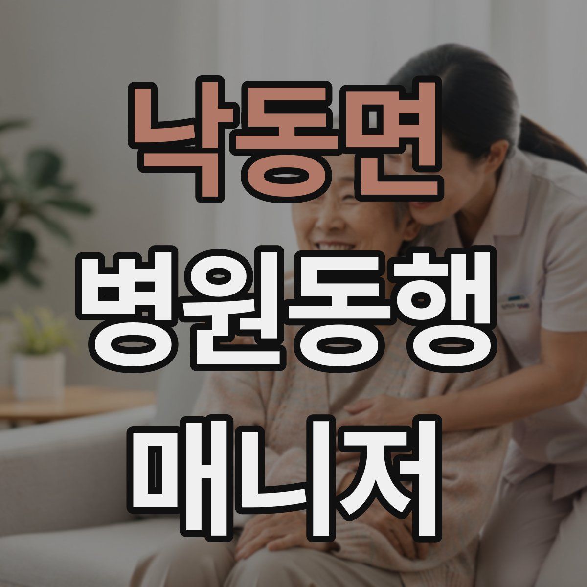 낙동면 병원동행매니저 자격증