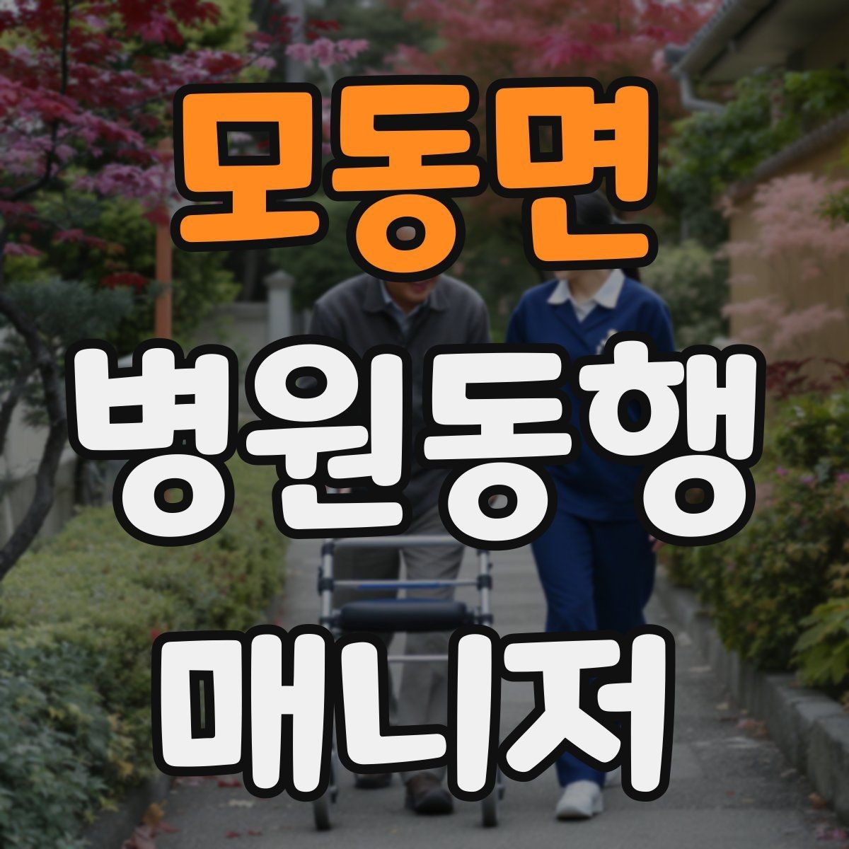 모동면 병원동행매니저 자격증 시간 단위 안내가 필요한 이유