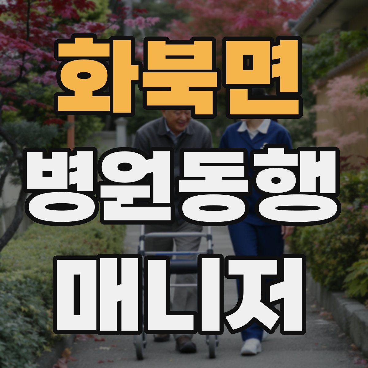 화북면 병원동행매니저 자격증