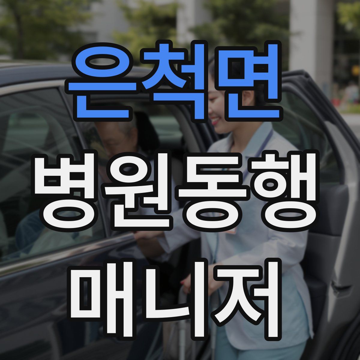 은척면 병원동행매니저 자격증