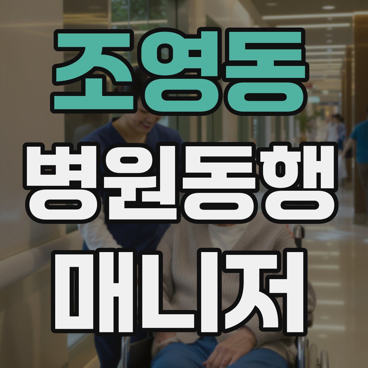 조영동 병원동행매니저 자격증