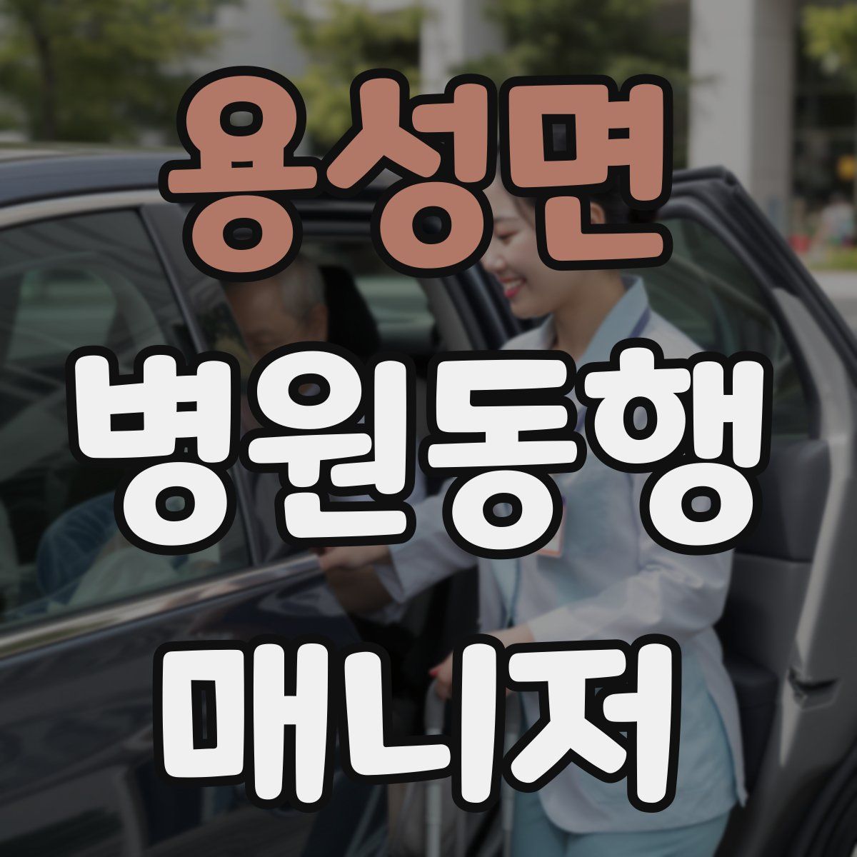 용성면 병원동행매니저 자격증