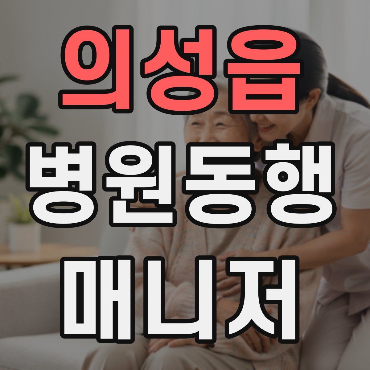 의성읍 병원동행매니저 자격증