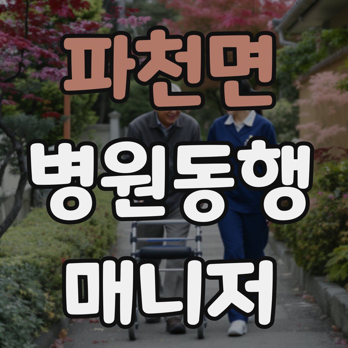 파천면 병원동행매니저 자격증