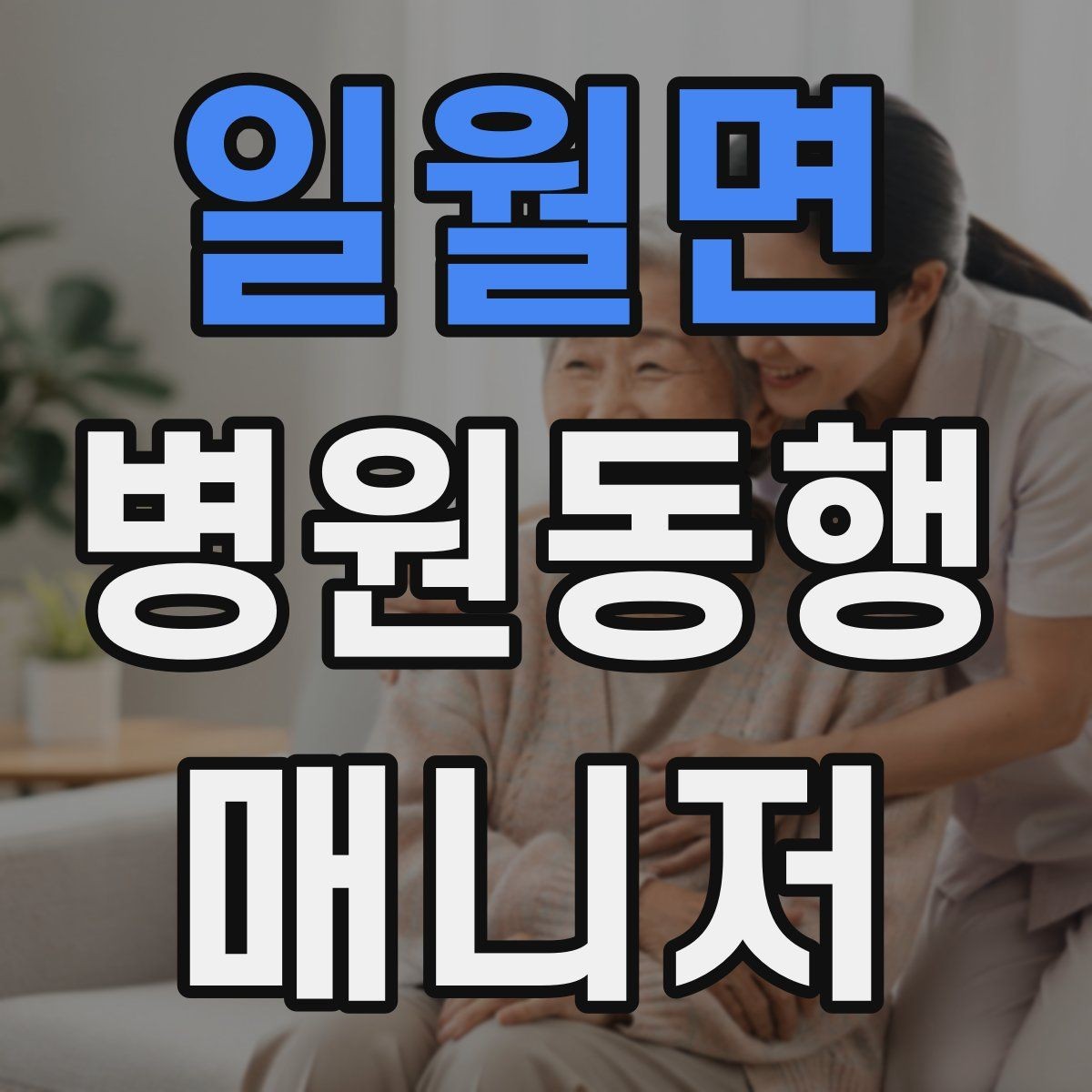 일월면 병원동행매니저 자격증 동행 중 식사 시간 관리 팁
