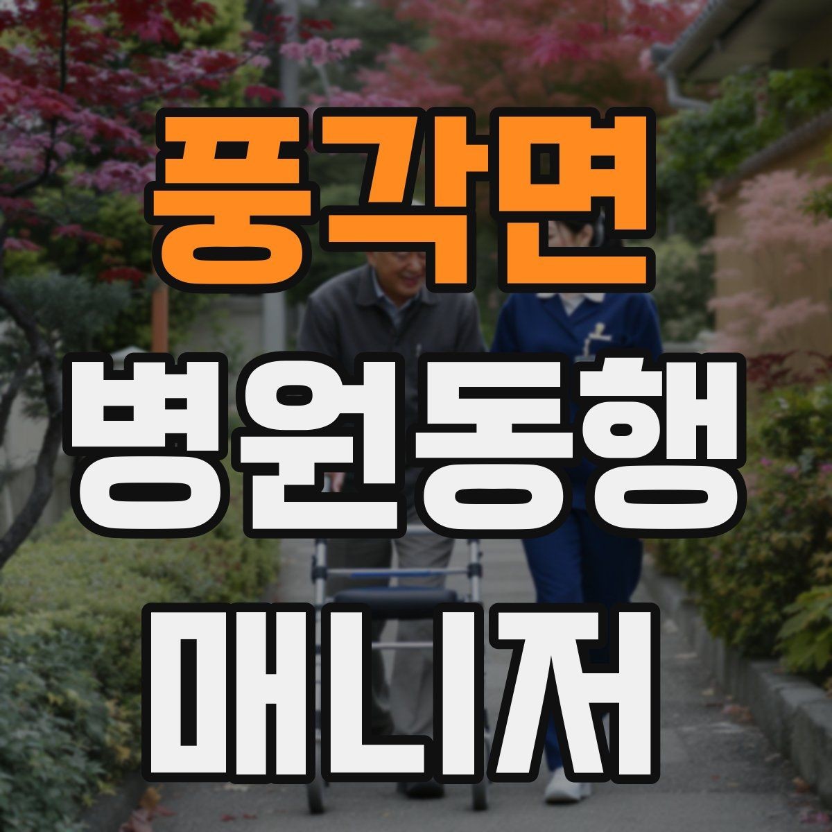 풍각면 병원동행매니저 자격증 휠체어 이동 시 주의사항