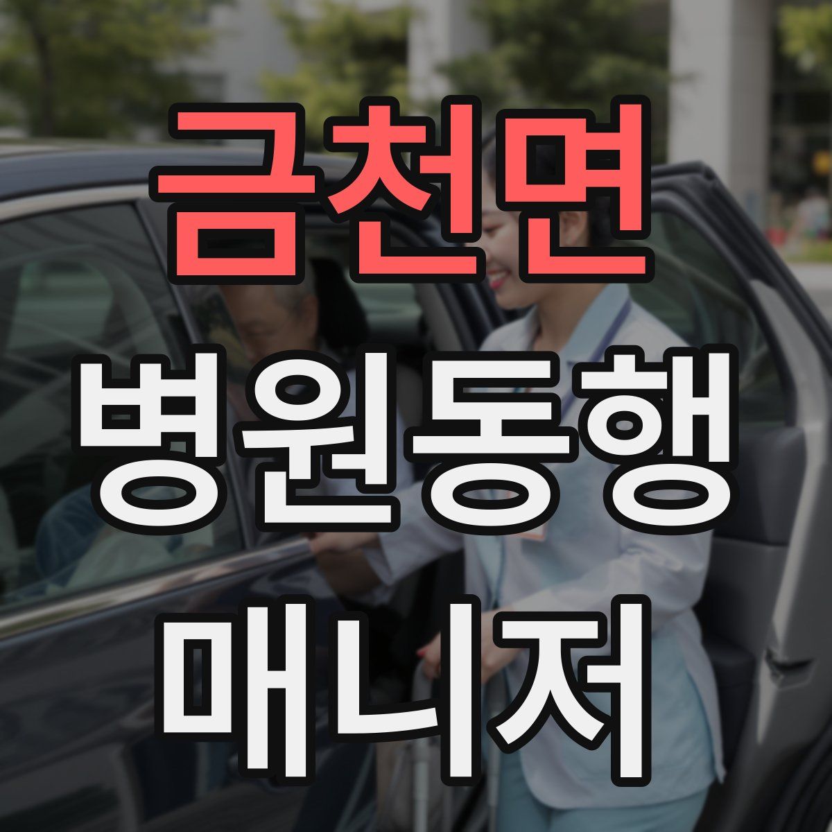 금천면 병원동행매니저 자격증