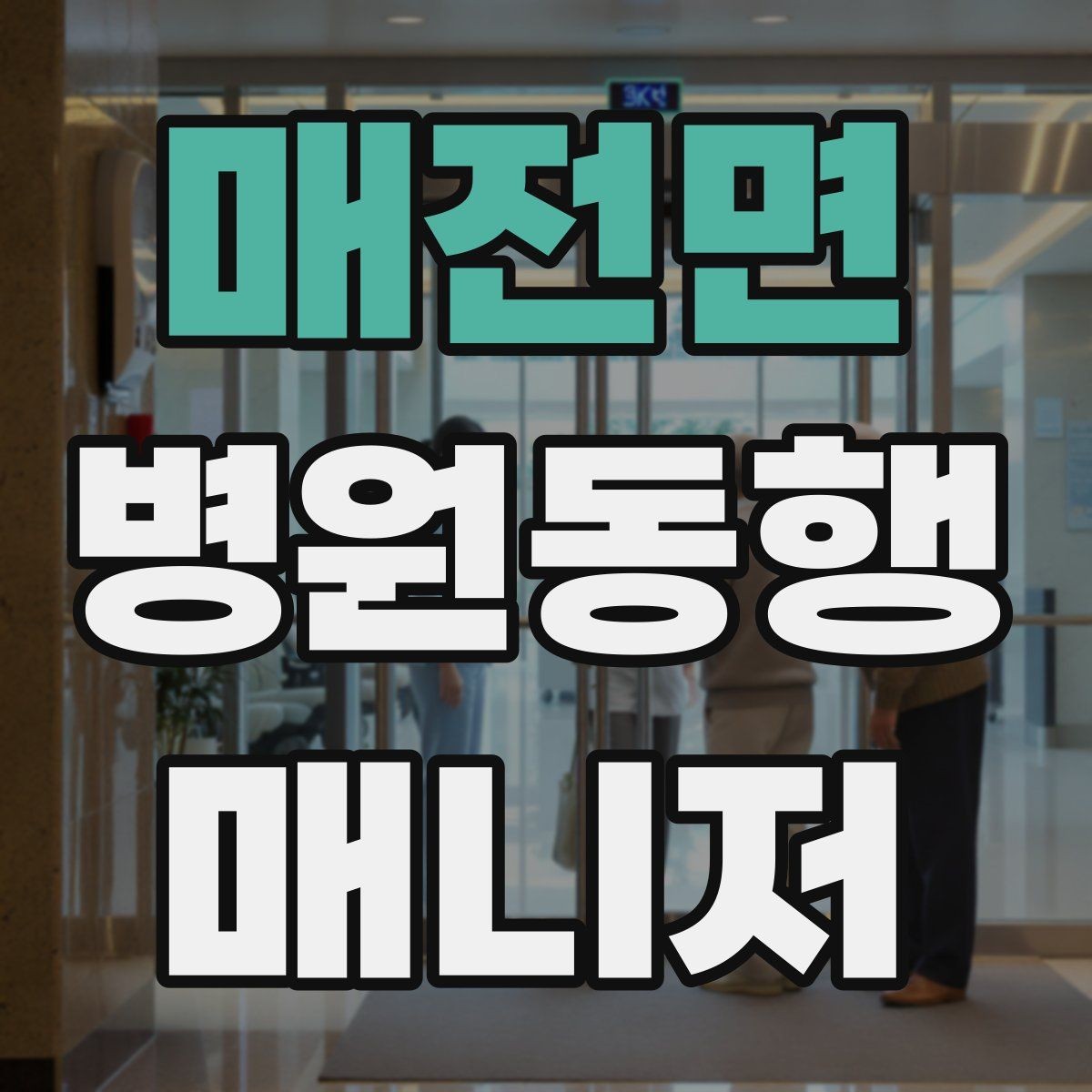 매전면 병원동행매니저 자격증 자차 동행이 포함될 때 주의사항