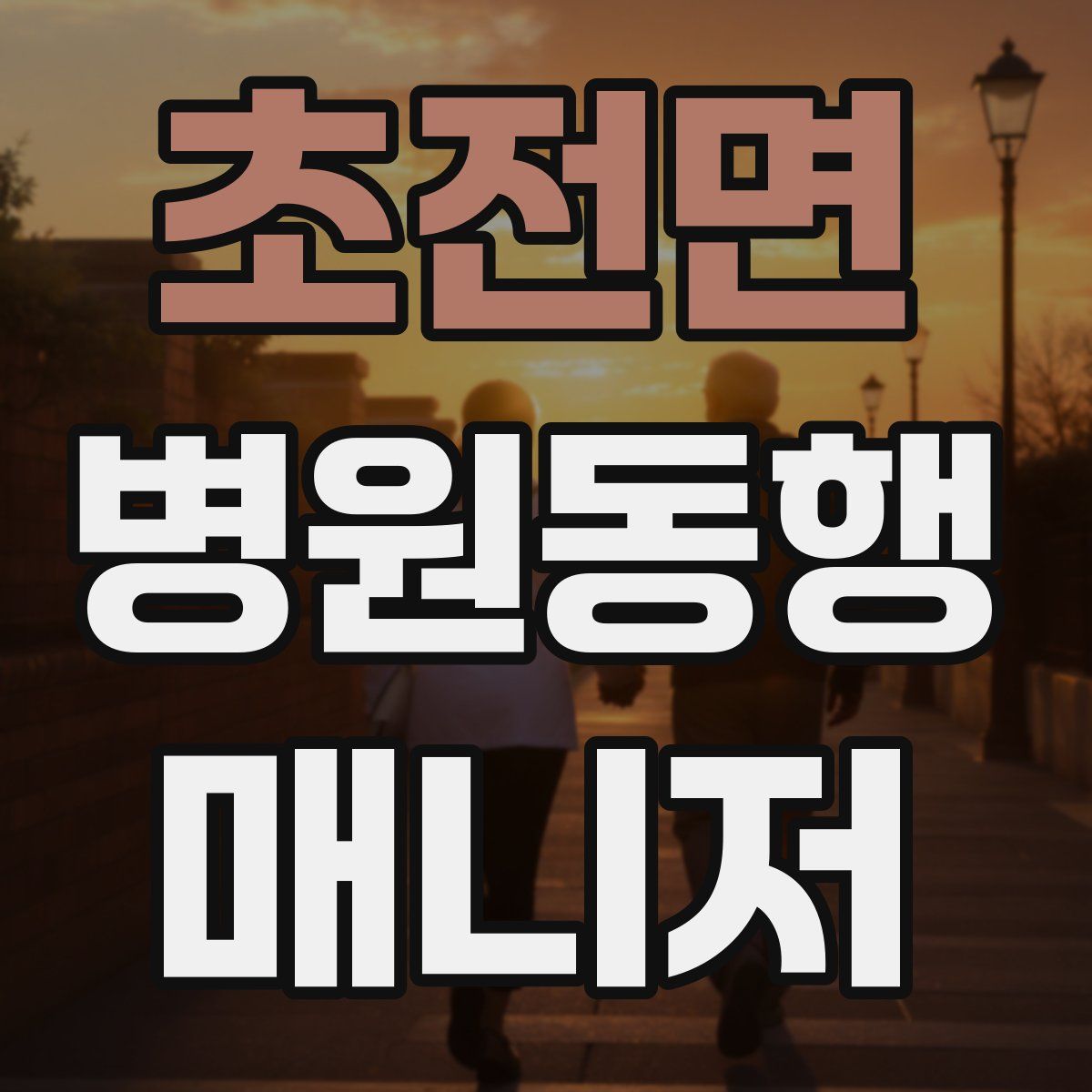 초전면 병원동행매니저 자격증