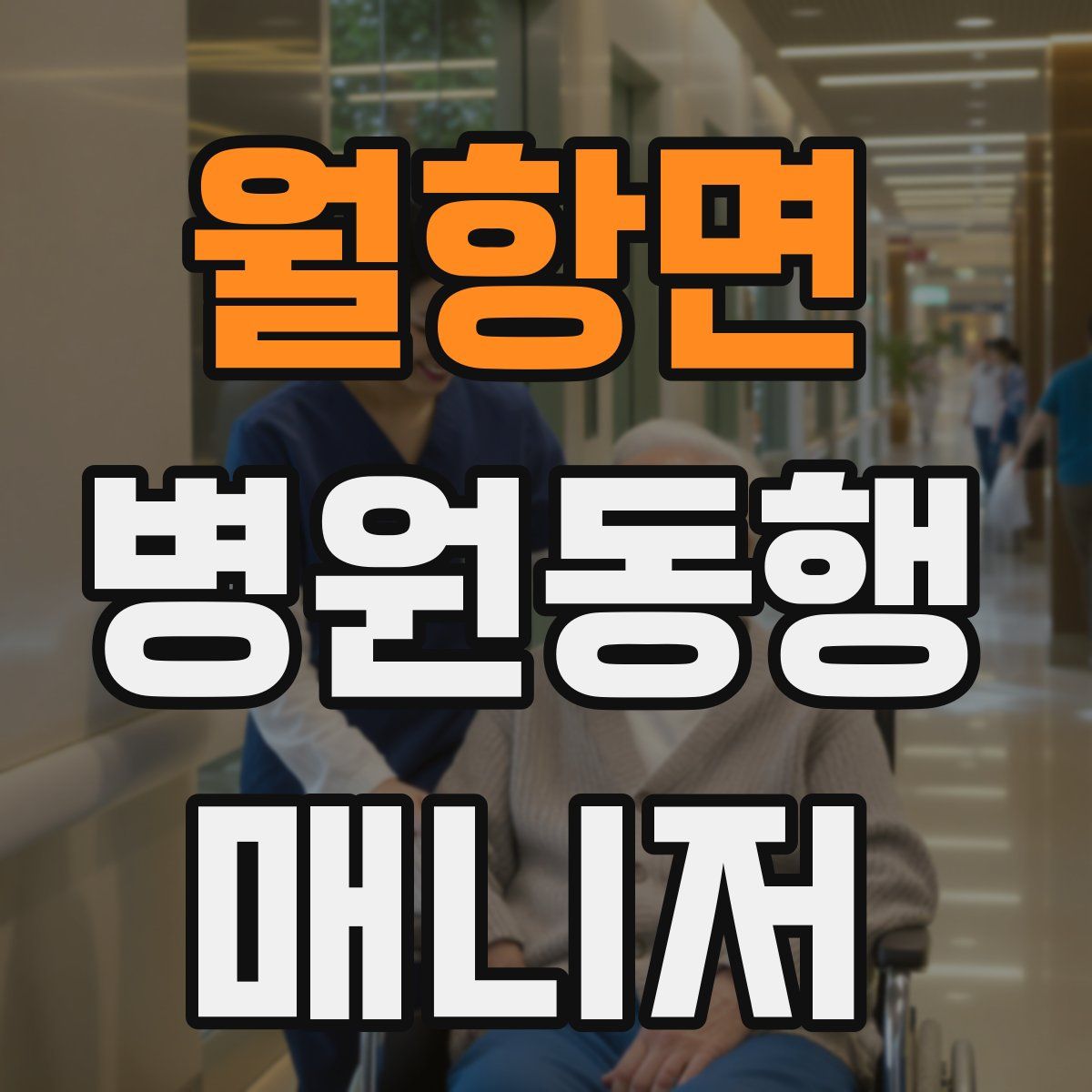 월항면 병원동행매니저 자격증