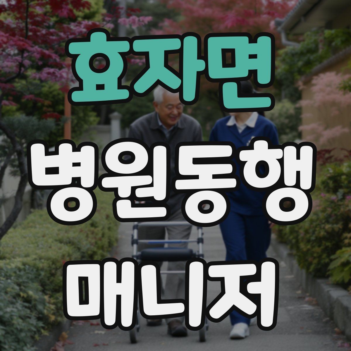 효자면 병원동행매니저 자격증 대중교통 동행 시 준비할 것