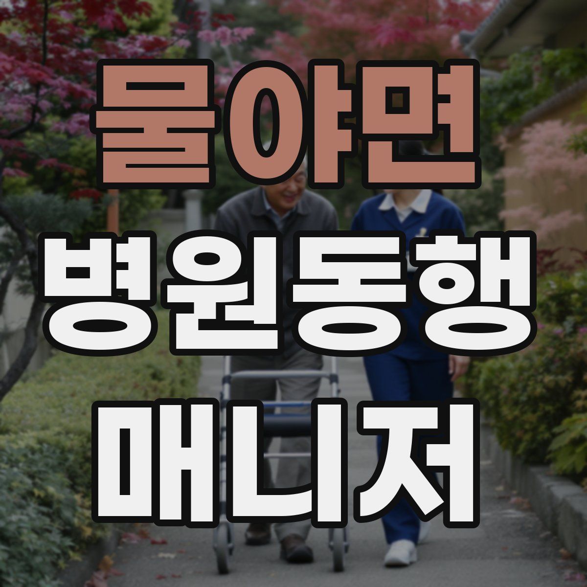 물야면 병원동행매니저 자격증