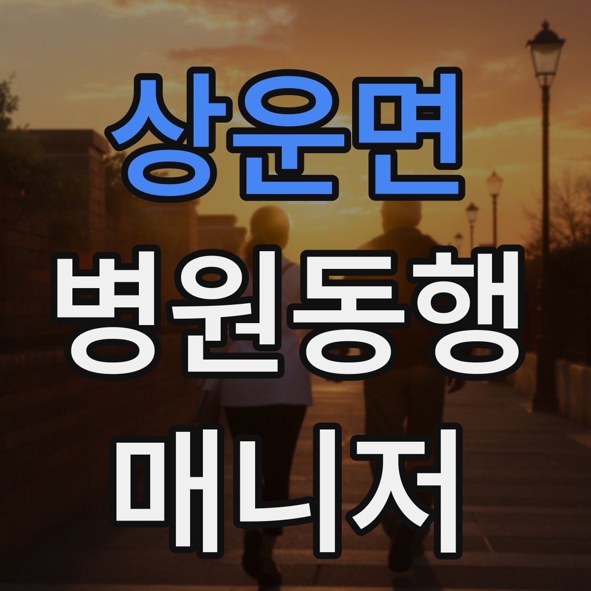 상운면 병원동행매니저 자격증