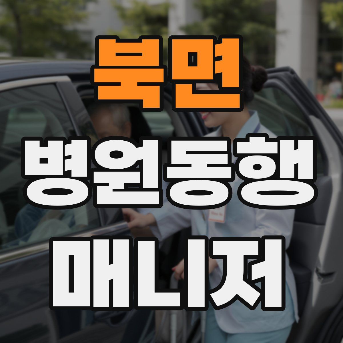 북면 병원동행매니저 자격증