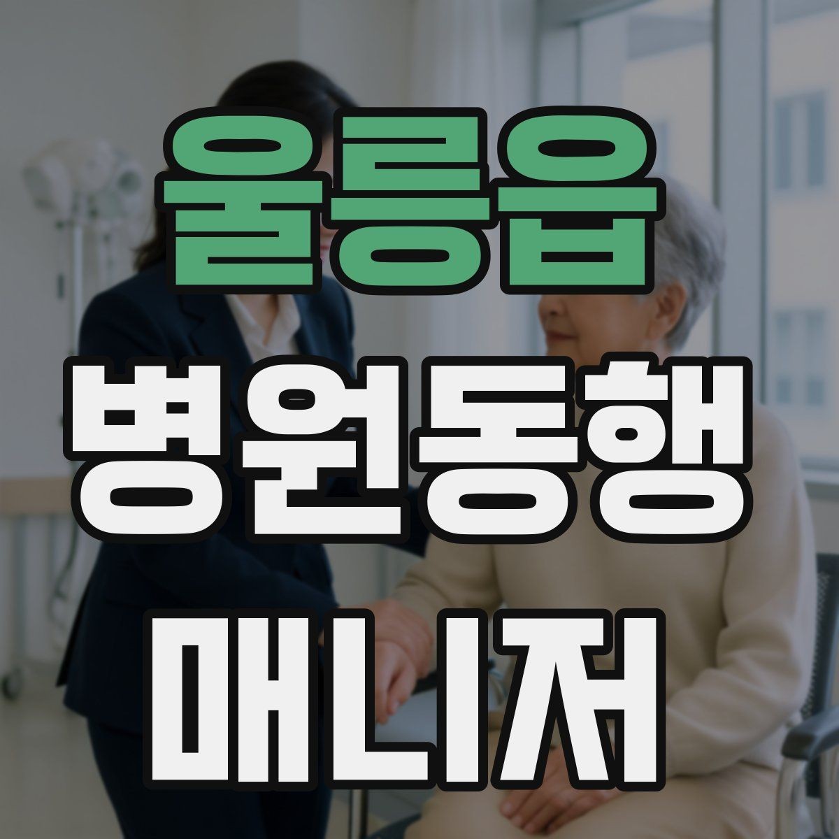 울릉읍 병원동행매니저 자격증 휠체어 이용 고객 동행의 기본