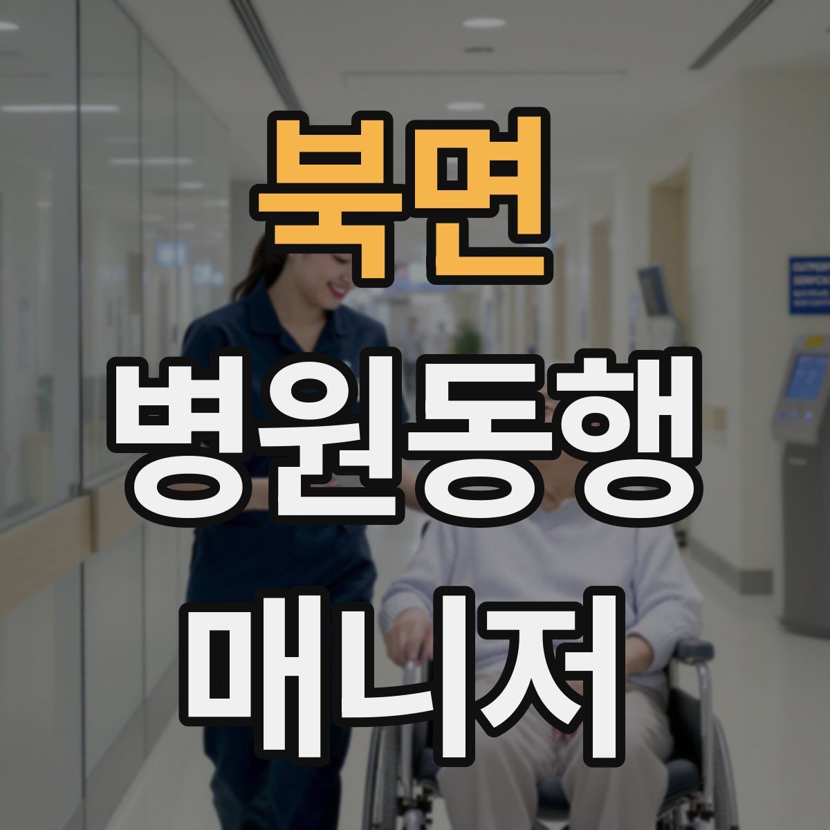 북면 병원동행매니저 자격증