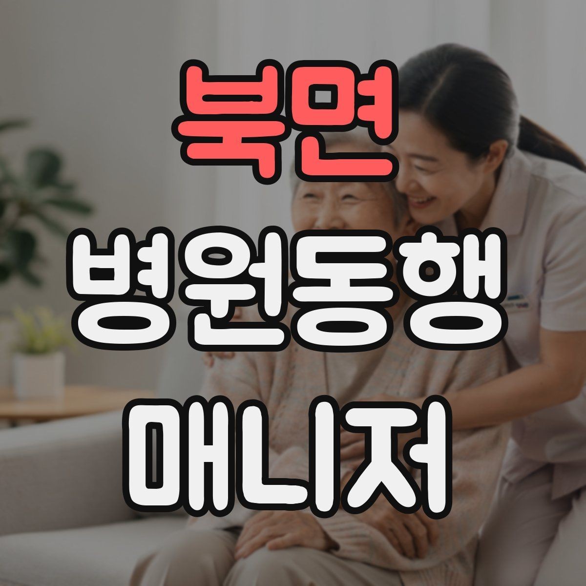 북면 병원동행매니저 자격증 자차 동행이 포함될 때 주의사항