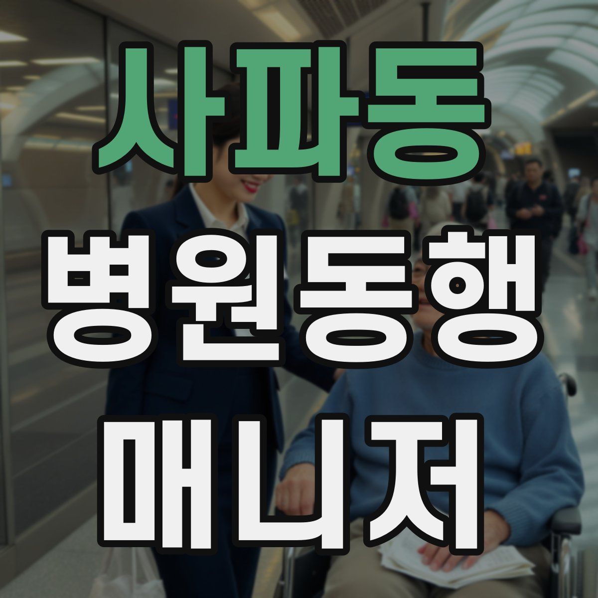 사파동 병원동행매니저 자격증