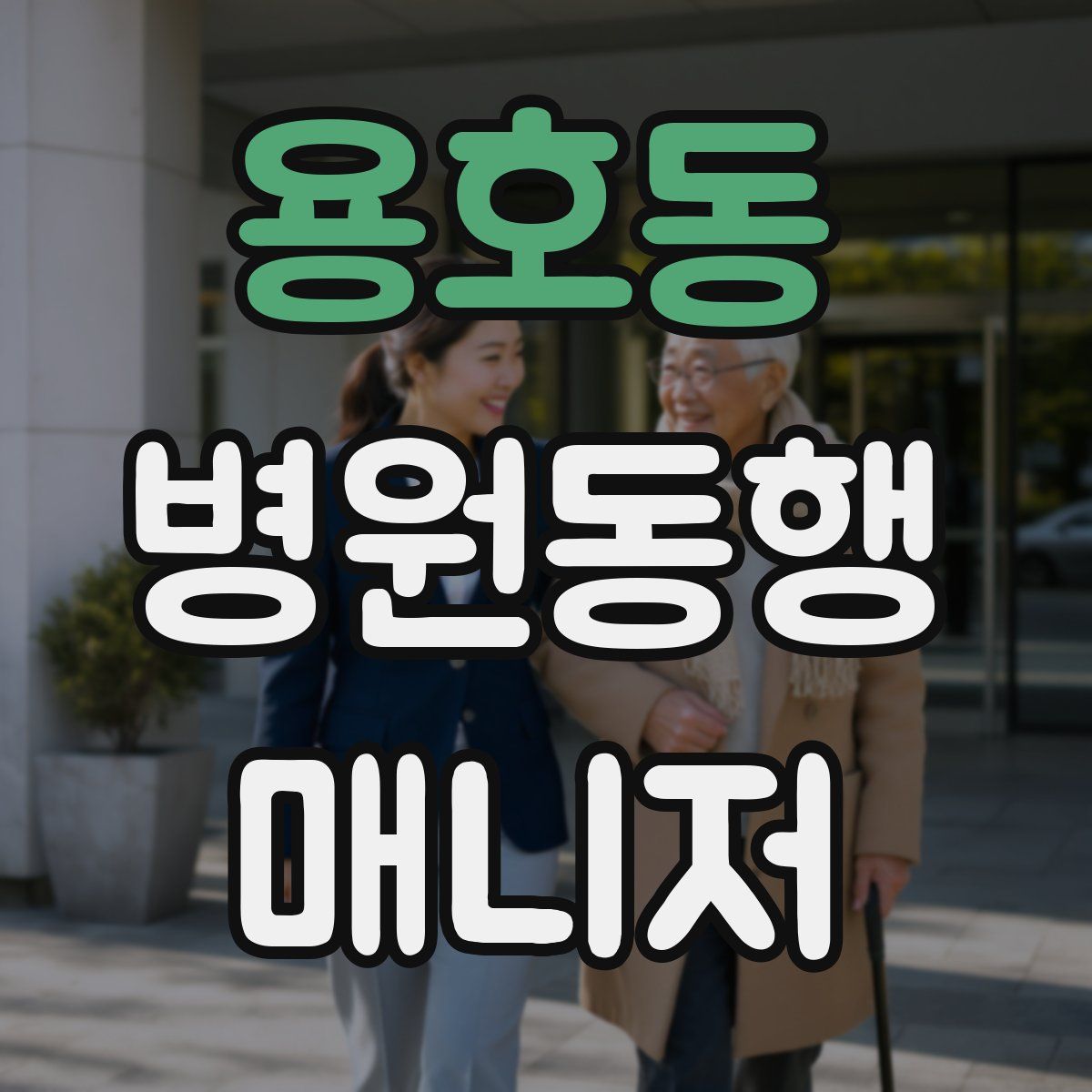 용호동 병원동행매니저 자격증