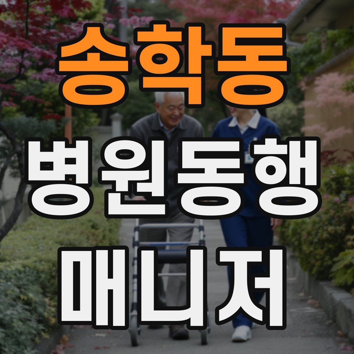 송학동 병원동행매니저 자격증 대학병원 진료 동행에서 중요한 점