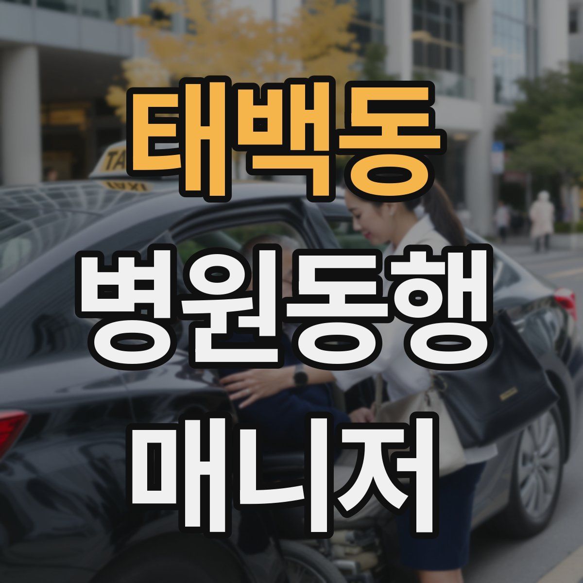 태백동 병원동행매니저 자격증