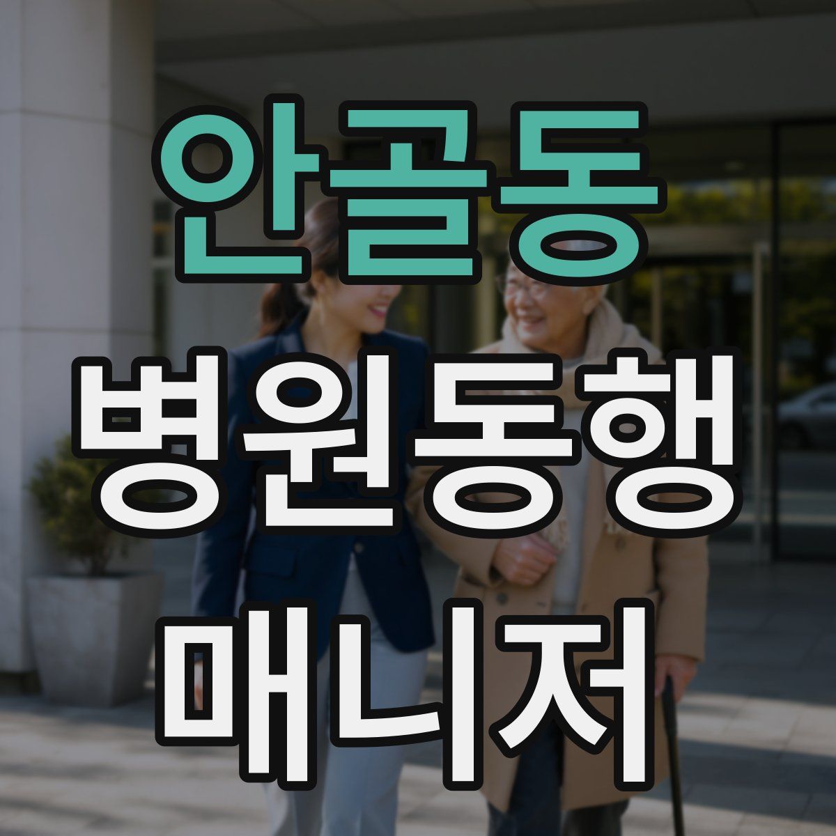 안골동 병원동행매니저 자격증