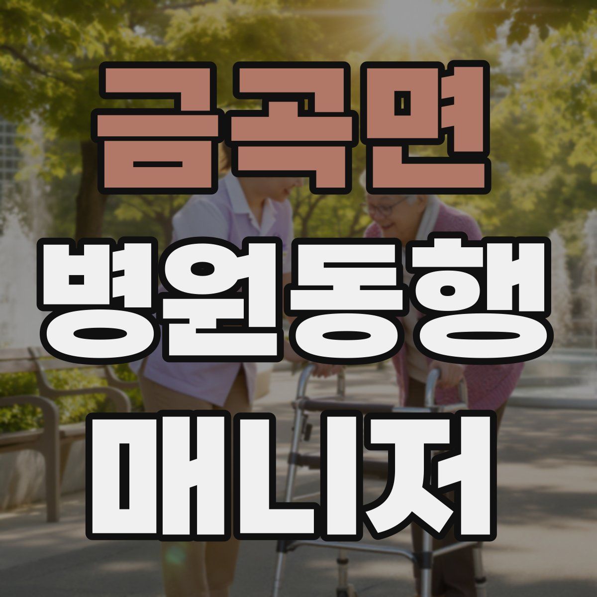 금곡면 병원동행매니저 자격증