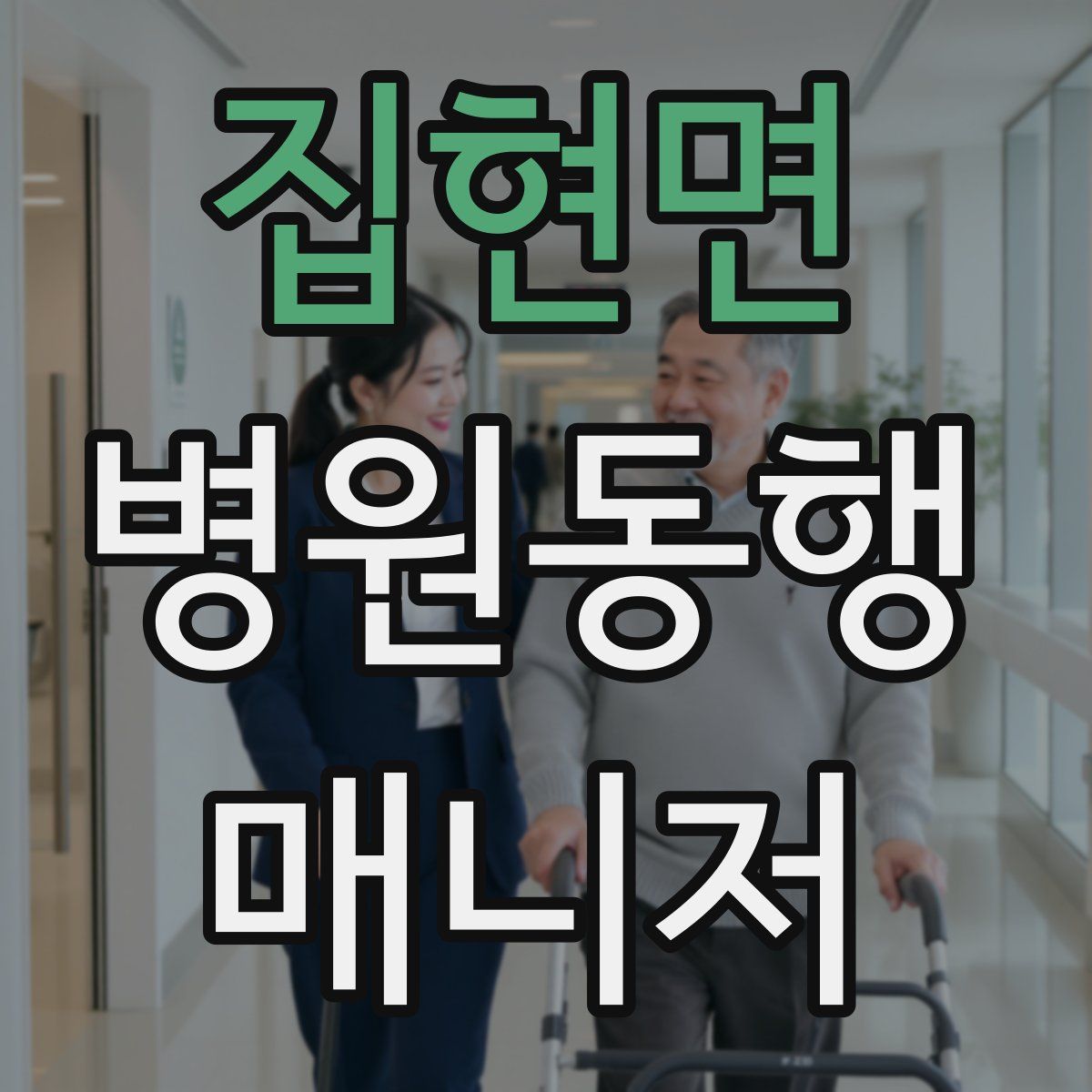 집현면 병원동행매니저 자격증